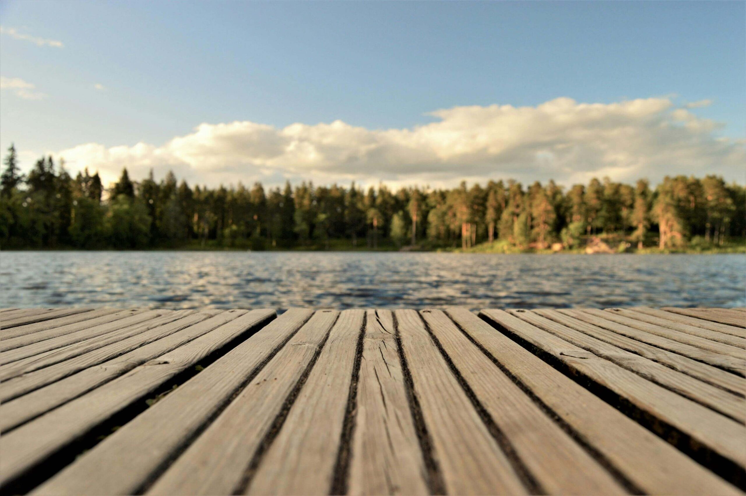 Vy över Åsnens nationalpark med glittrande sjö och lummiga skogar nära Mjölknabben.